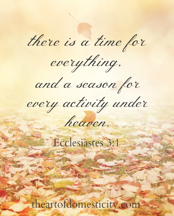 As we enter a new school season and Fall slowly shows its colors there are so many emotions! We will experience a lot of seasons in our lifetime; some will be filled with joy and anticipation, others with longing or sadness, testing of our faith. Our job is to live in God’s presence through every season...