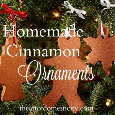 Homemade Cinnamon Ornaments for the Family