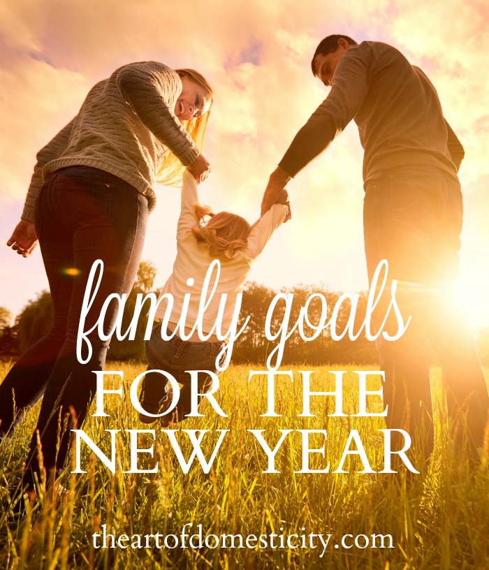 Although most people think of diets, organization, and spending habits when they’re setting goals and resolutions, the New Year is actually a perfect time to reassess what’s working or not working in the areas of parenting and family. Spending some time asking ourselves hard questions, thinking honestly about problem areas, and establishing realistic priorities can reap tangible benefits for our families in 2017.  Here are some general categories to consider...