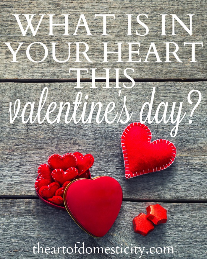 Valentine's Day is the perfect day to talk about hearts.  If we don’t guard our hearts from chasing everything that awakens our interest, it will be a surefire way to distract us from God’s best. What is in your heart this Valentine's Day?