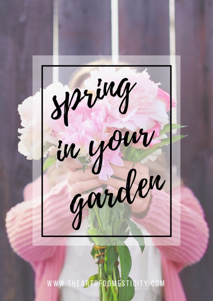 By planning and executing your garden re-design in spring, it is possible to extend the time you spend in the garden, cooking, eating and entertaining while encouraging wildlife to thrive, as well as increasing the value of your property.