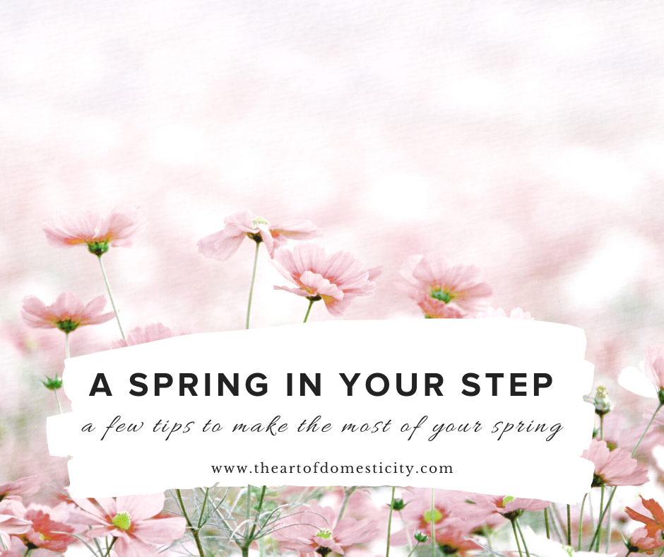 Spring time is the perfect time to take an inventory of your home and do a little cleaning and preparing for the months ahead! Here are a few of my tips to get you started!