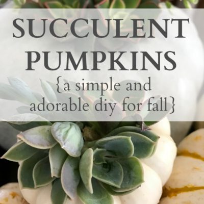 Succulent Pumpkins {a simple and adorable diy for fall}