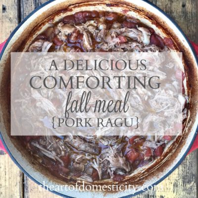 A Delicious Comforting Fall Meal {Pork Ragu}