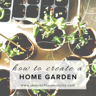 How to Create a Home Garden